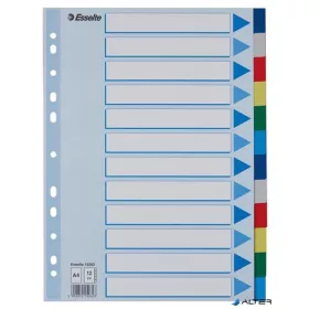 Regiszter, műanyag, A4, 12 részes, ESSELTE