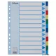 Regiszter, műanyag, A4, 12 részes, ESSELTE