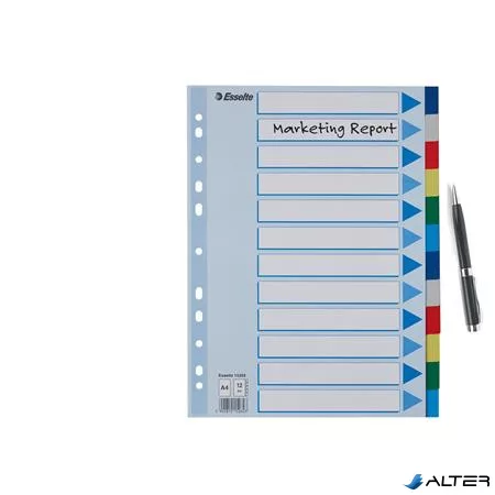 Regiszter, műanyag, A4, 12 részes, ESSELTE