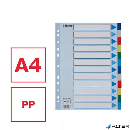 Regiszter, műanyag, A4, 12 részes, ESSELTE