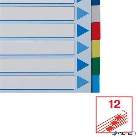 Regiszter, műanyag, A4, 12 részes, ESSELTE