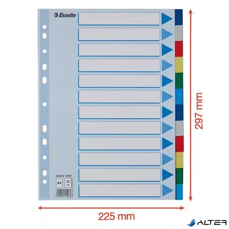 Regiszter, műanyag, A4, 12 részes, ESSELTE