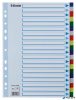 Regiszter, műanyag, A4, 20 részes, ESSELTE