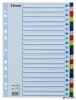 Regiszter, műanyag, A4, 20 részes, ESSELTE