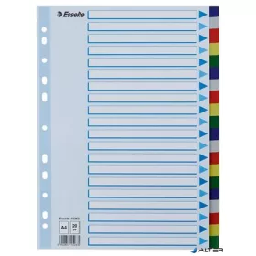 Regiszter, műanyag, A4, 20 részes, ESSELTE