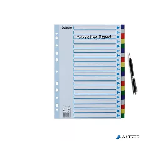 Regiszter, műanyag, A4, 20 részes, ESSELTE