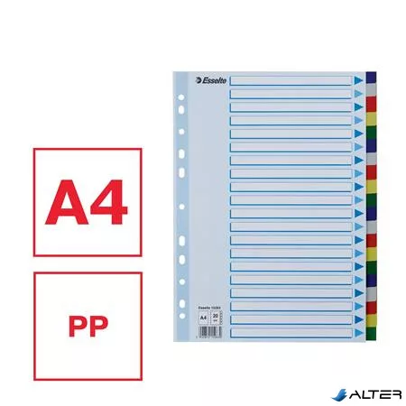 Regiszter, műanyag, A4, 20 részes, ESSELTE