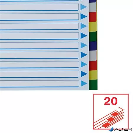 Regiszter, műanyag, A4, 20 részes, ESSELTE