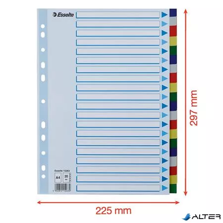 Regiszter, műanyag, A4, 20 részes, ESSELTE