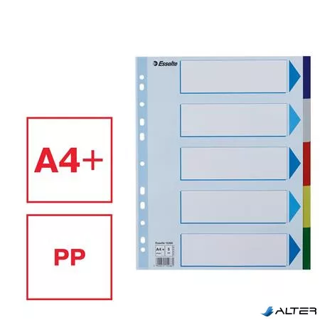 Regiszter, műanyag, A4 Maxi, 5 részes, ESSELTE