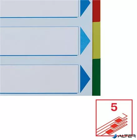 Regiszter, műanyag, A4 Maxi, 5 részes, ESSELTE
