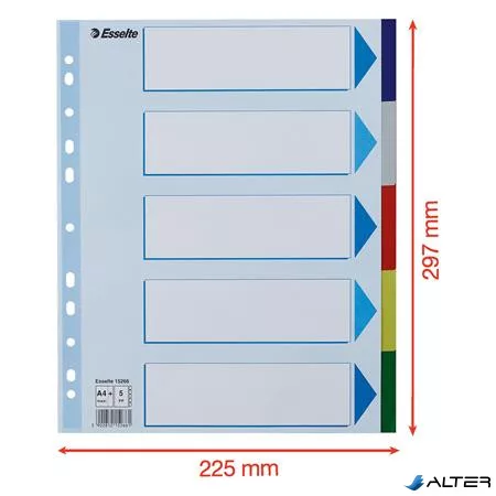 Regiszter, műanyag, A4 Maxi, 5 részes, ESSELTE