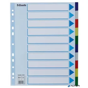 Regiszter, műanyag, A4 Maxi, 10 részes, ESSELTE