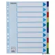 Regiszter, műanyag, A4 Maxi, 10 részes, ESSELTE