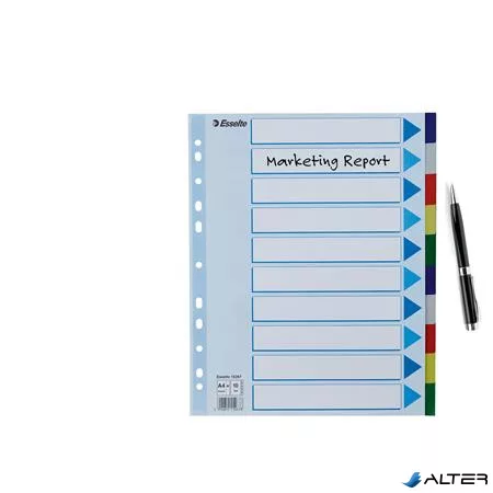 Regiszter, műanyag, A4 Maxi, 10 részes, ESSELTE