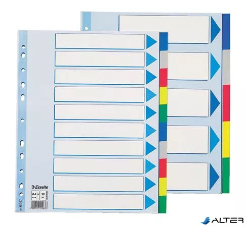 Regiszter, műanyag, A4 Maxi, 10 részes, ESSELTE