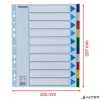Regiszter, műanyag, A4 Maxi, 10 részes, ESSELTE