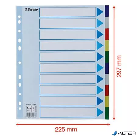Regiszter, műanyag, A4 Maxi, 10 részes, ESSELTE