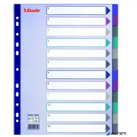 Regiszter, műanyag, A4 Maxi, 12 részes, ESSELTE, színes