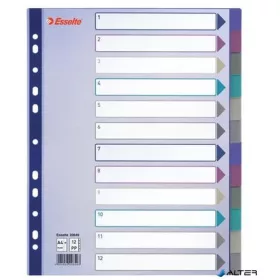 Regiszter, műanyag, A4 Maxi, 12 részes, ESSELTE, színes