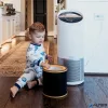 Filter, HEPA szag és VOC szűrő, LEITZ 'TruSens Z-3000 / Z-3500'