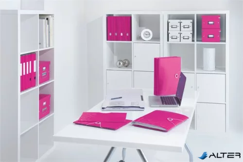 Előrendező, A4, 12 részes, műanyag, LEITZ "Wow", rózsaszín