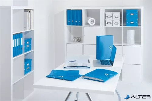 Előrendező, A4, 12 részes, műanyag, LEITZ "Wow", kék