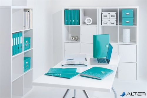 Előrendező, A4, 12 részes, műanyag, LEITZ "Wow", jégkék