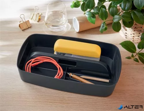 Rendszerező tálca, fogantyúval, LEITZ "MyBox Cosy", bársonyszürke