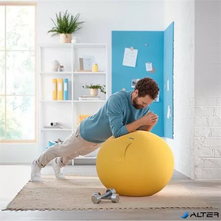 Ülőlabda, LEITZ "Ergo Cosy", melegsárga