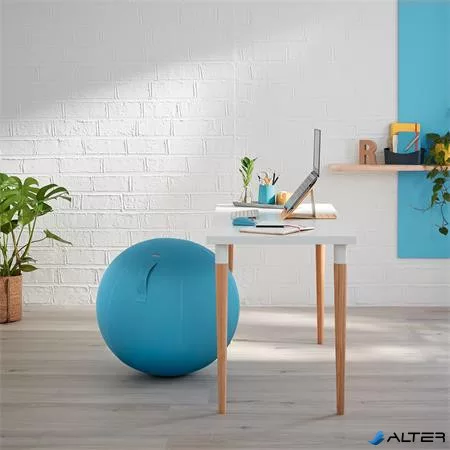 Ülőlabda, LEITZ "Ergo Cosy", nyugodtkék