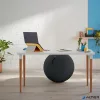 Ülőlabda, LEITZ "Ergo Cosy", bársonyszürke