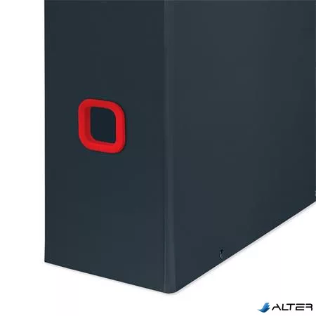 Iratpapucs, PP/karton, 95mm, LEITZ "Cosy Click&Store", bársonyszürke