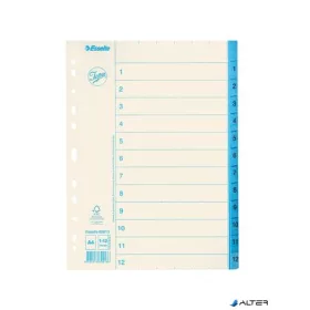 Regiszter, karton, A4, 1-12, ESSELTE, fehér