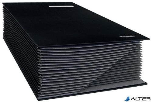 Aláírókönyv, A4, 20 részes, karton, ESSELTE, fekete