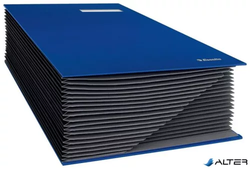 Aláírókönyv, A4, 20 részes, karton, ESSELTE, kék