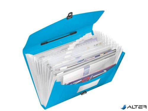 Harmonikatáska, A4, PP, 12 rekeszes, ESSELTE "Vivida", kék