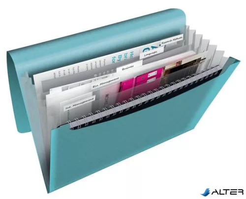Harmonikamappa, A4, PP, 6 rekeszes, ESSELTE "Colour'Breeze", kék