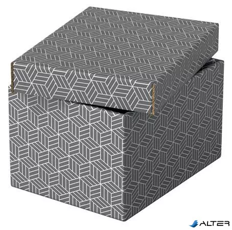 Tárolódoboz, S méret, ESSELTE "Home", szürke