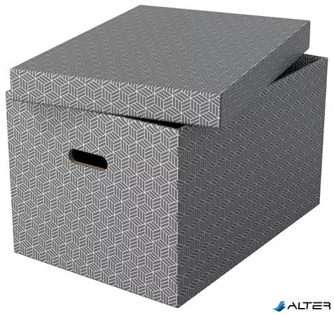 Tárolódoboz, L méret, ESSELTE "Home", szürke