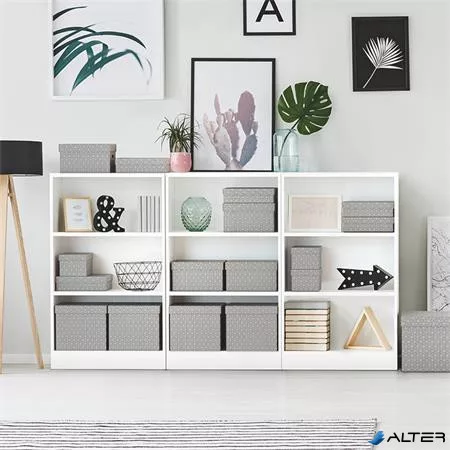 Tárolódoboz, L méret, ESSELTE "Home", szürke