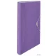 Harmonikamappa, A4, PP, 6 rekeszes, ESSELTE "Colour'Breeze", levendula