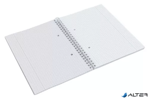 Spirálfüzet, A5, kockás, 80 lap, ESSELTE "Colour'Breeze", kék