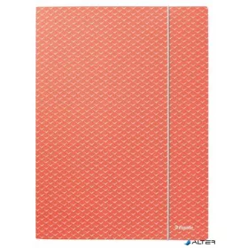   Gumis mappa, karton, A4, ESSELTE "Colour'Breeze", korall
