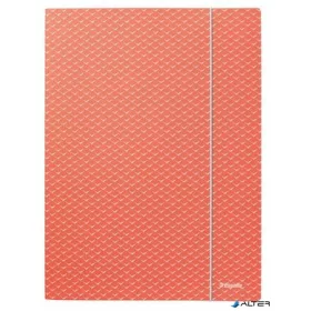   Gumis mappa, karton, A4, ESSELTE "Colour'Breeze", korall