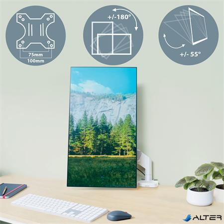 Monitortartó-kar, egy monitorhoz, LEITZ "Ergo", világosszürke