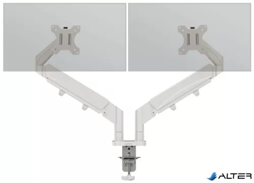 Monitortartó-kar, kettő monitorhoz, LEITZ "Ergo Dual", világosszürke