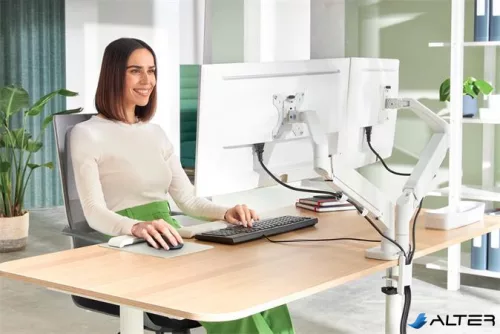 Monitortartó-kar, kettő monitorhoz, LEITZ "Ergo Dual", világosszürke