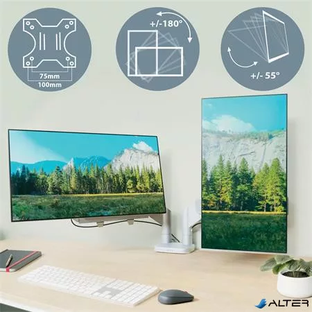 Monitortartó-kar, kettő monitorhoz, LEITZ "Ergo Dual", világosszürke