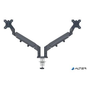   Monitortartó-kar, kettő monitorhoz, LEITZ "Ergo Dual", sötétszürke